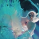 Watch: Björk “The Gate”