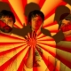 One Step Beyond: Animal Collective + The Bunker: Seven Year Anniversary