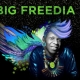 All Hail Queen of Bounce Music BIG FREEDIA- “Excuse” Video & Free EP Download