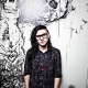 Skrillex: The Mothership Tour