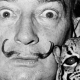 “Artists and Their Cats” Book feat. Salvador Dali, Jean-Michel Basquiat, Georgia O’Keeffe, Andy Warhol & More!!!
