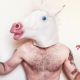 Editor’s Best of 2015: Top 5 Obsessions…Unicorns, 420 Machine, Poppers & More!!! NSFW