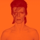 “David Bowie is” Exhibition