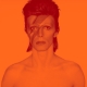“David Bowie is” Exhibition