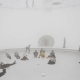 Scale a Human-Sized Web at Tomás Saraceno: Particular Matter(s) Immersive Experience