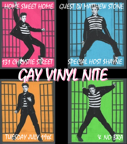 gay vinyl1