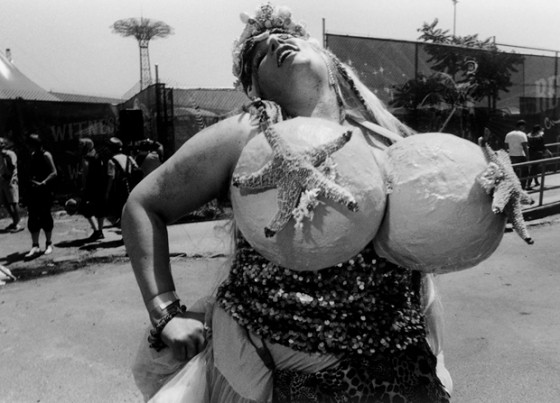 harvey stein