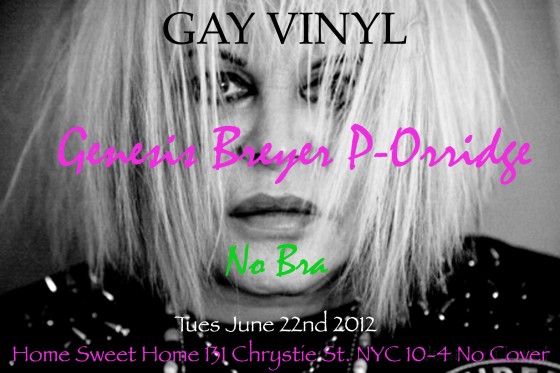 gay vinyl