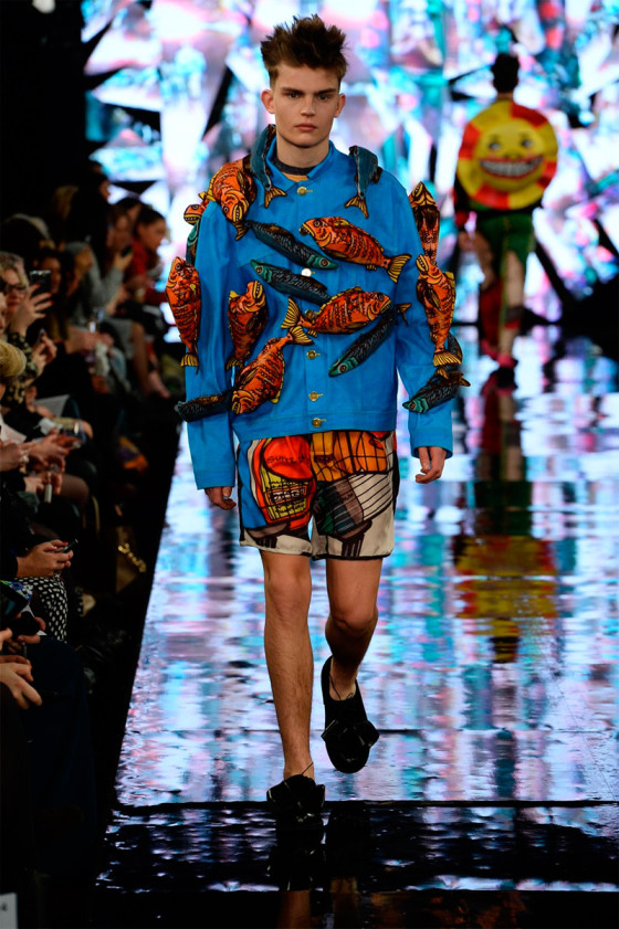 Aristides-Vanis_fw14_fy1