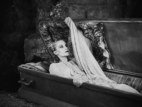 dracula