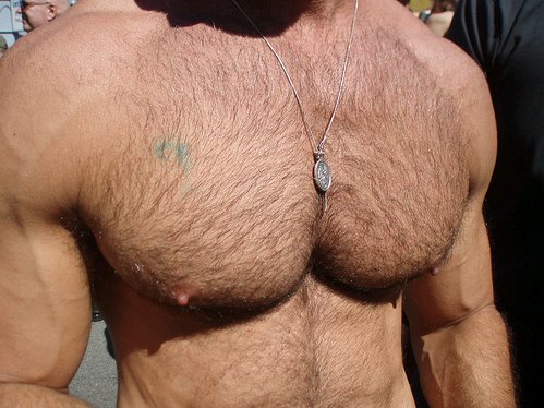 mr tits