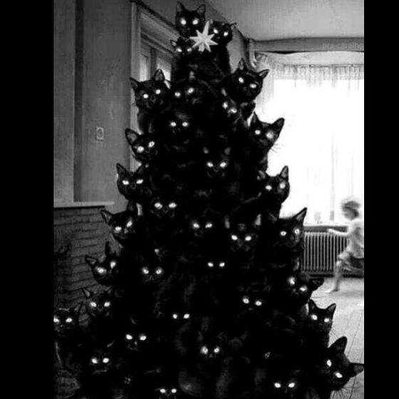XMASS9