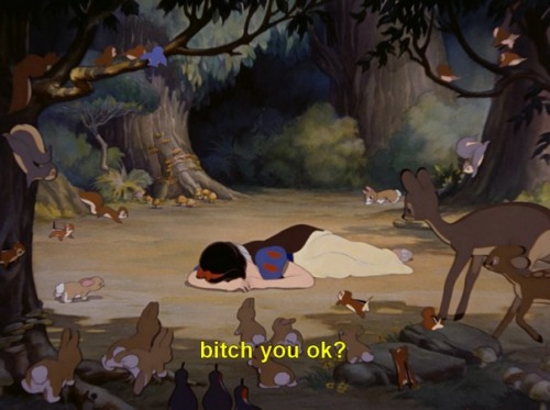 bitch