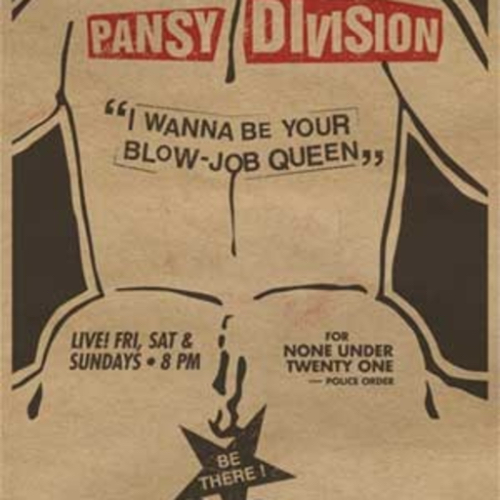 pansy