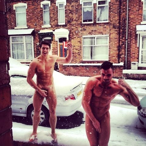 snow bunnies