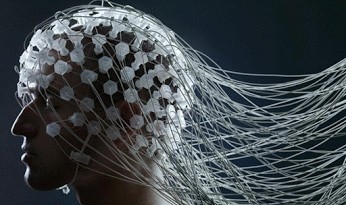 brain