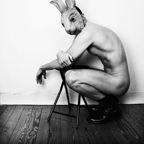 silly rabbit