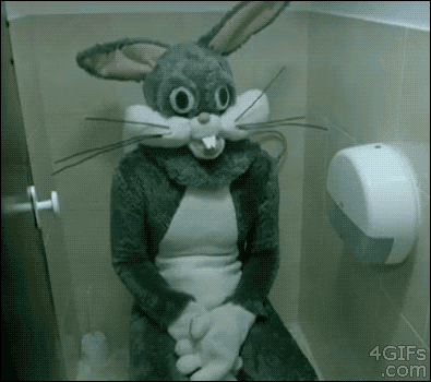 BUNNY