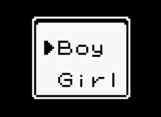 boy