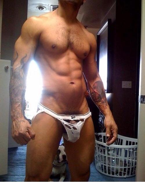 shredded