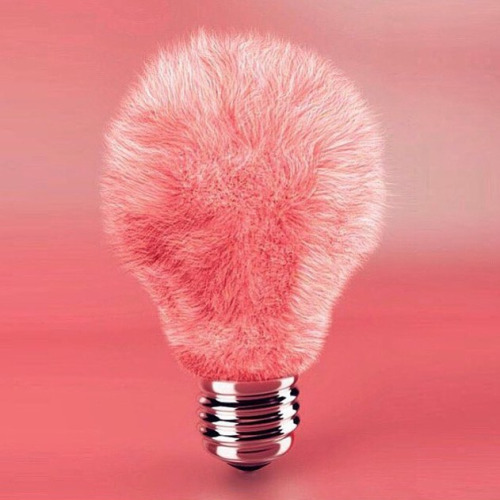 bulb