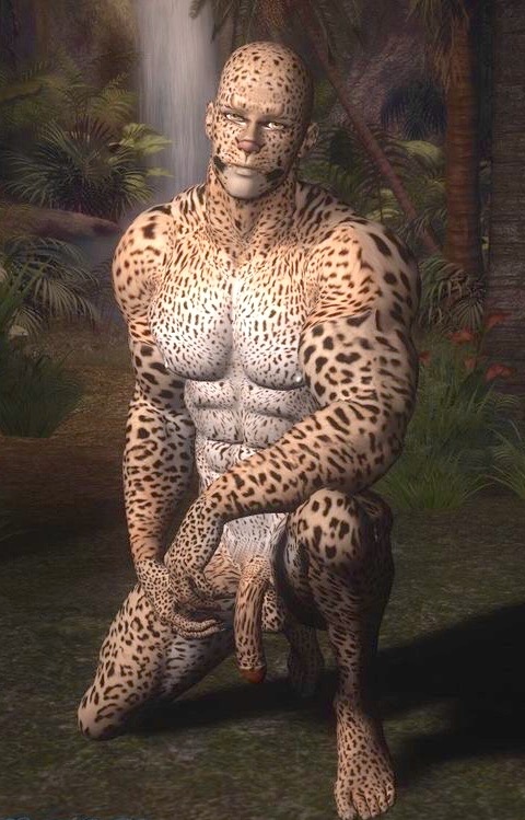 cheetah