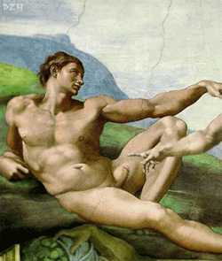 penis