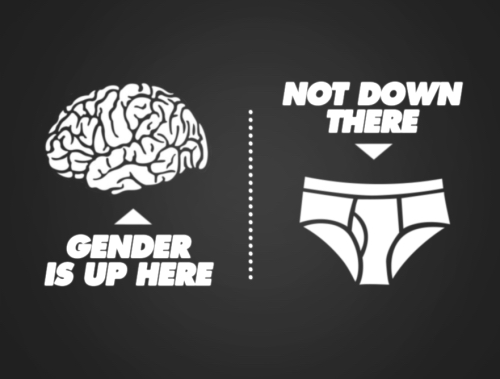 gender copy