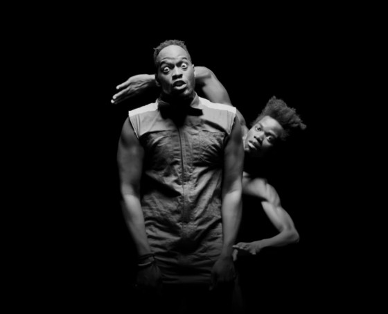 zebra katz nu renegade