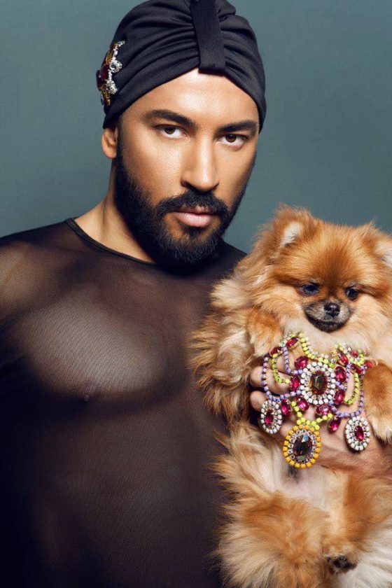 gay dog