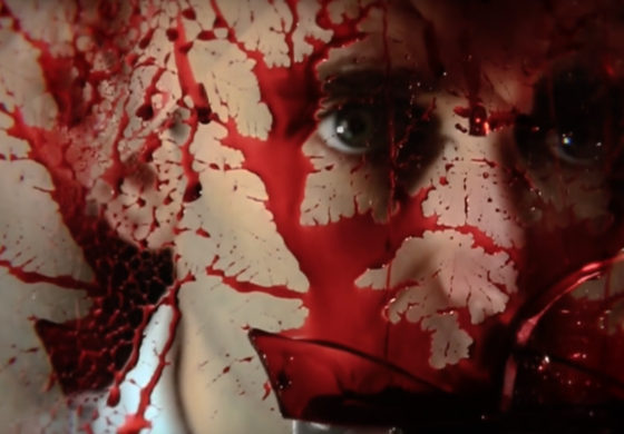 chromatics dear tommy