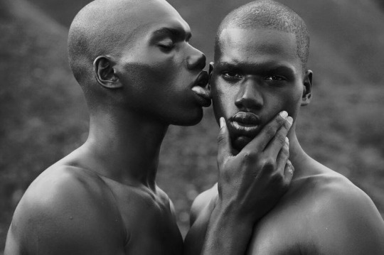 gay bald boys