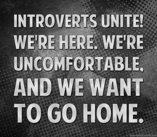gay introverts